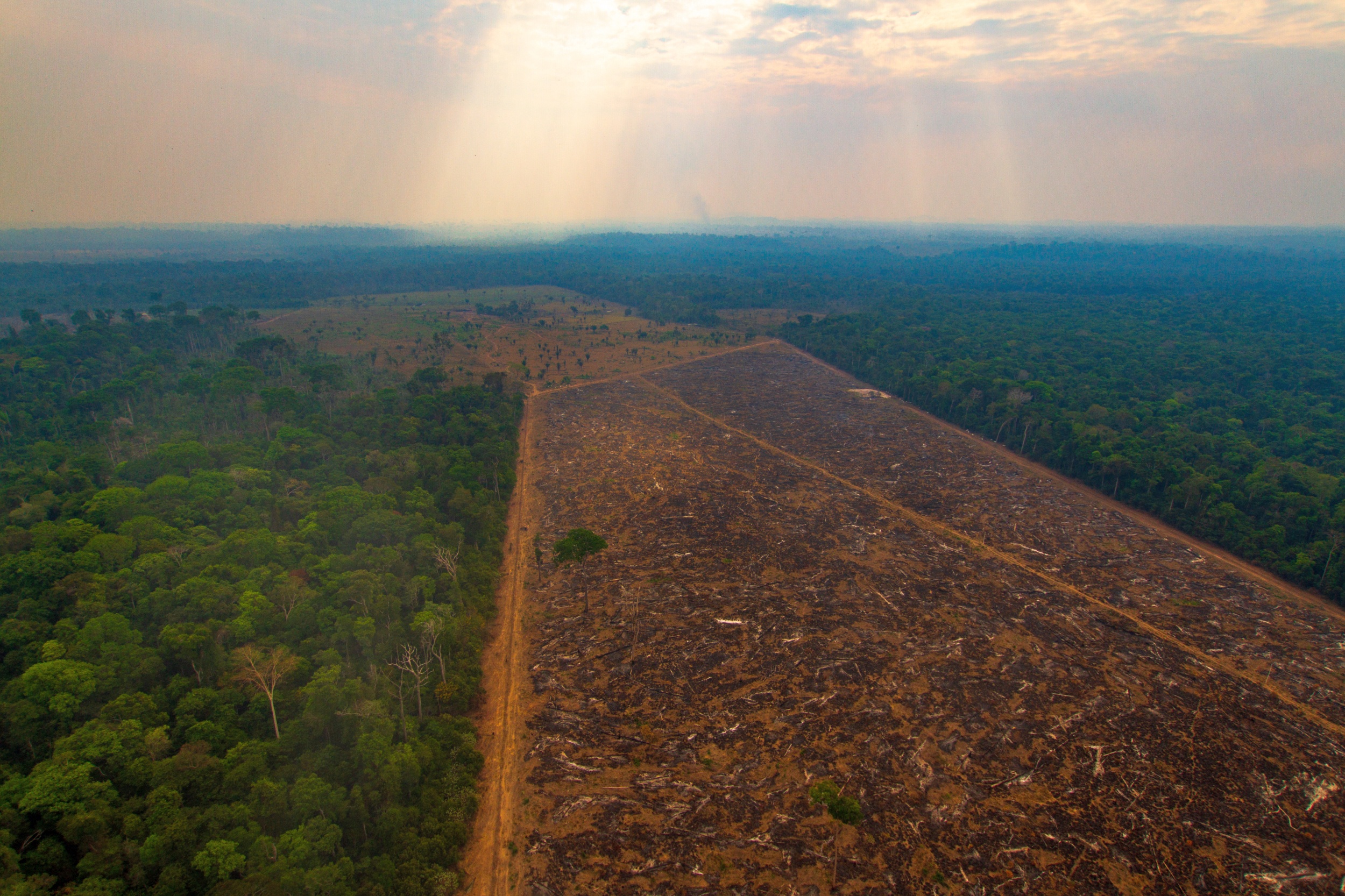 Devastação Amazônia